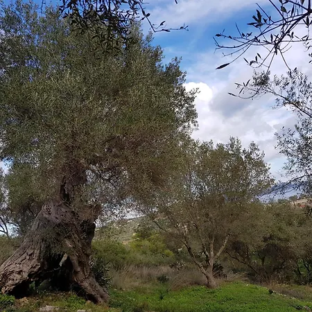 Meditation Holiday home *