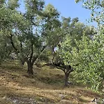 Meditation בית נופש *