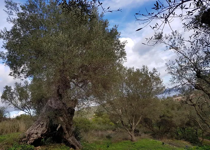 Meditation Сasa de vacaciones *