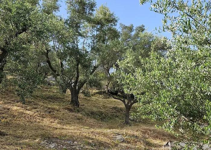 Meditation Сasa de vacaciones *